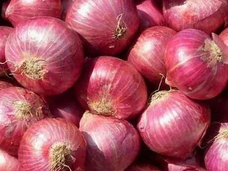 Image A Grade Red Onion