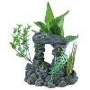Aqua Culture, Aquarium & Accessories