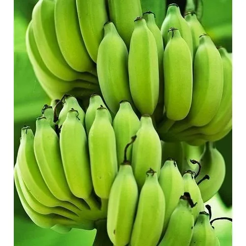 Image Fresh Green Banana