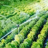 Irrigation Equipment & Systems