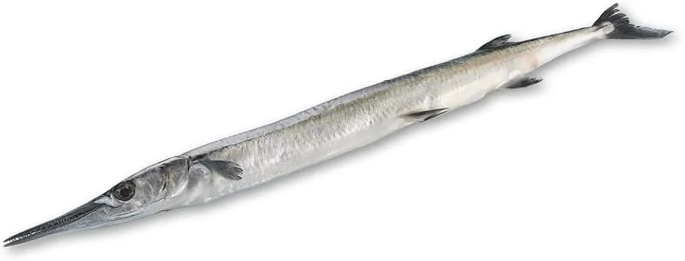 Image Kola Fish