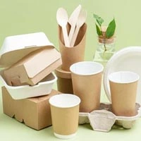 Paper & Paper Products