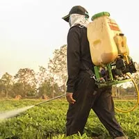 Pesticides & Insecticides