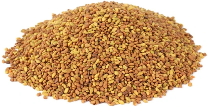 Alfalfa Seeds