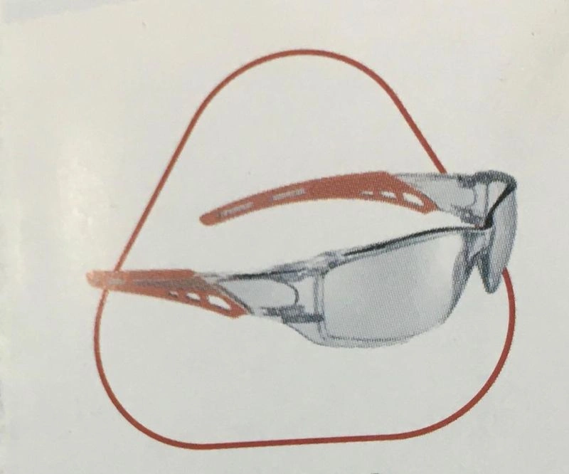Image EP 001 Safety Goggles