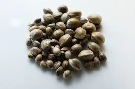 Hemp Seeds