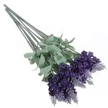 Image Organic Lavender Oil