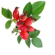 Image Organic Rosehip Carrier Oil