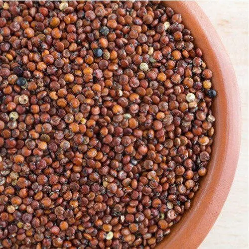 Image Red Quinoa Seeds