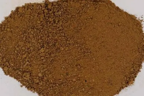 Image Sal Seed DOC