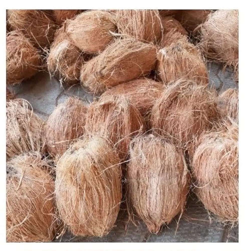 Image Semi Husked Coconut