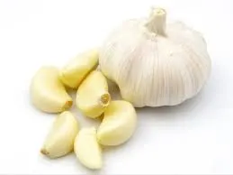 Image Allium Sativum Extract