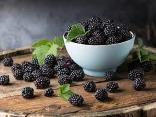 Blackberry Extract