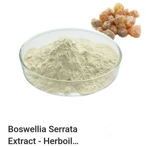 Image BOSWELLIA SERRATA (AKBA 10%-75%)