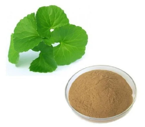 Centella Asiatica Herb Extract