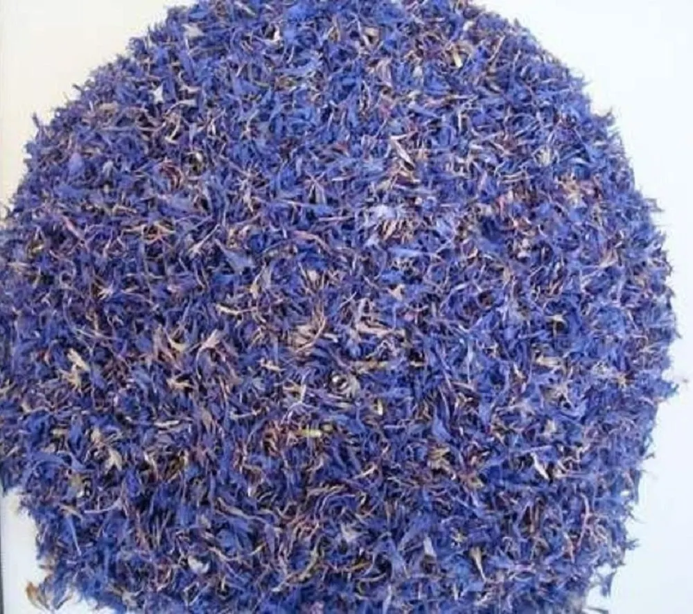 Dried Blue Cornflowers
