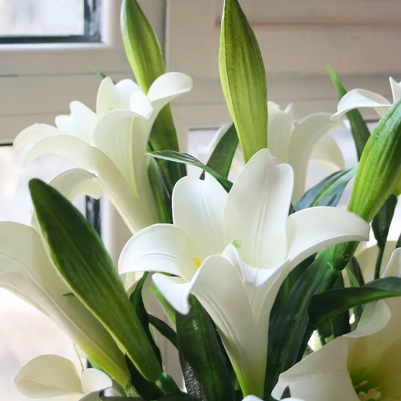 Image Fresh Lily Flowers