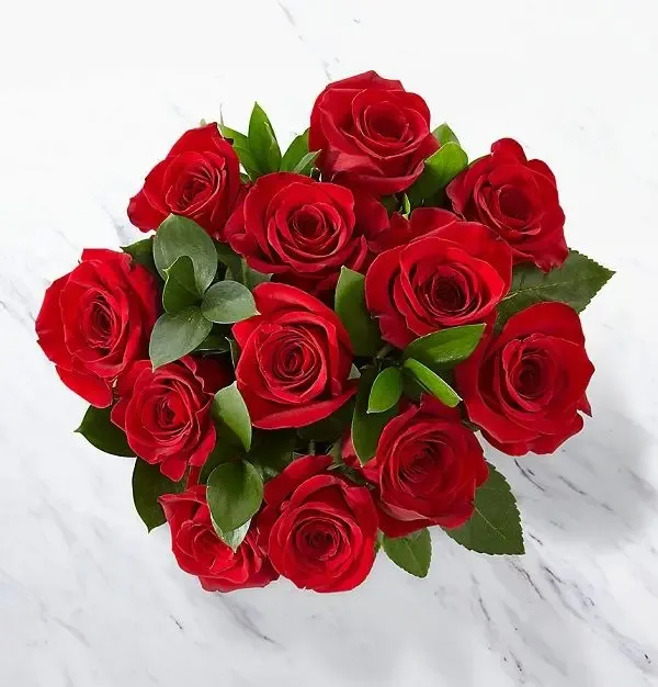 Image Fresh Rose Flowers