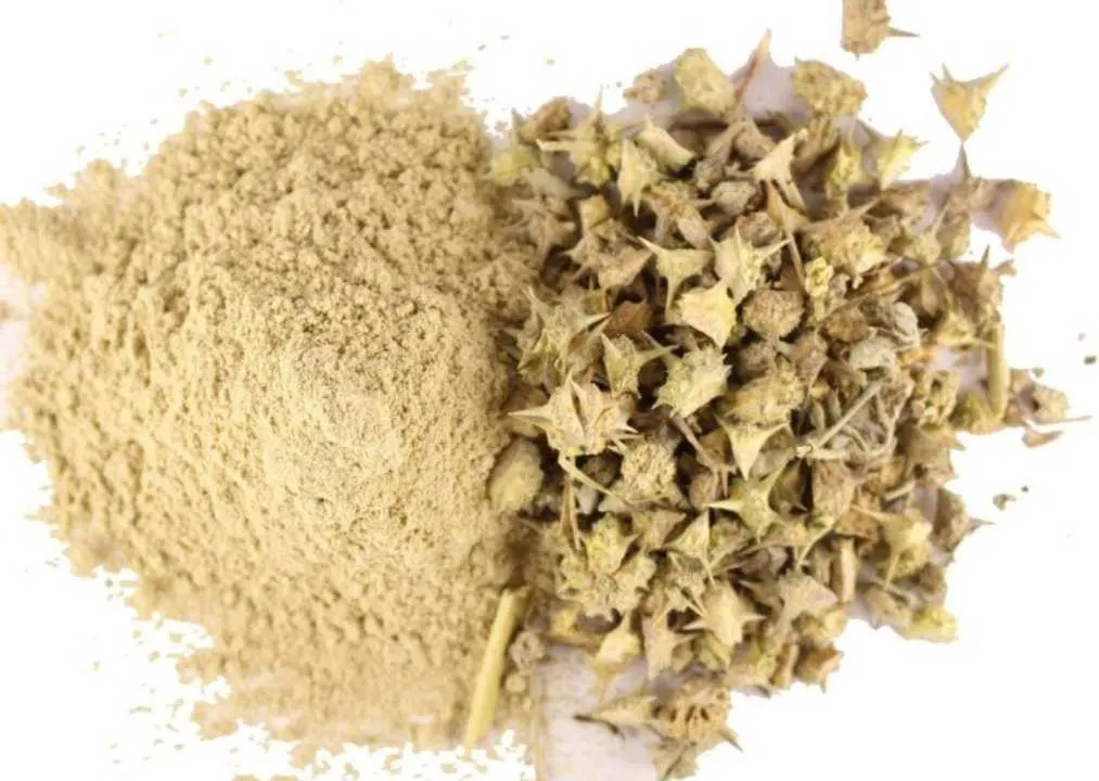 Image Gokshura Powder