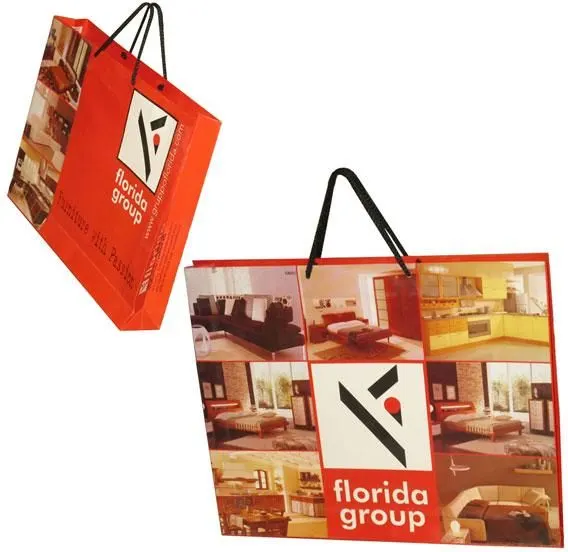 Image Corporate Promotional Bags