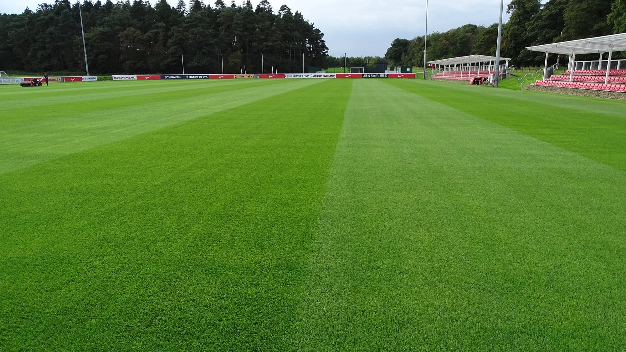 Natural Grass Football Turf