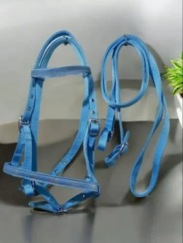 Image Nylon Blue Horse Bridle