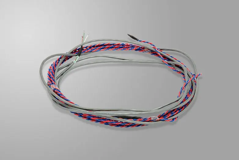 Image Addressable Water Leak Detection Cable WD-AS