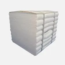 Image Ceramic Fiber Module
