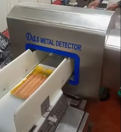 Frozen Food Metal Detector