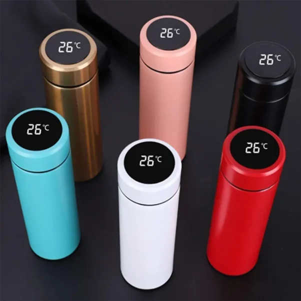 Stainless Steel Digital Temperature Water Bottle