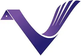 Vivify International
