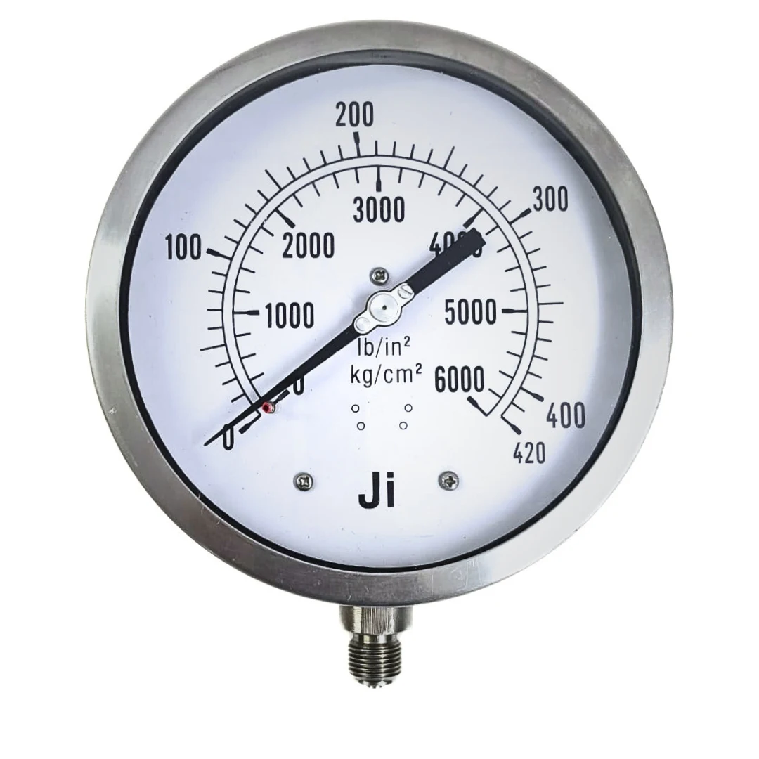Image BSP Industrial Pressure Gauges