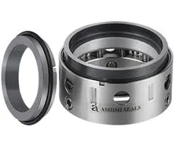 Image Multi Spring Unbalanced Seal