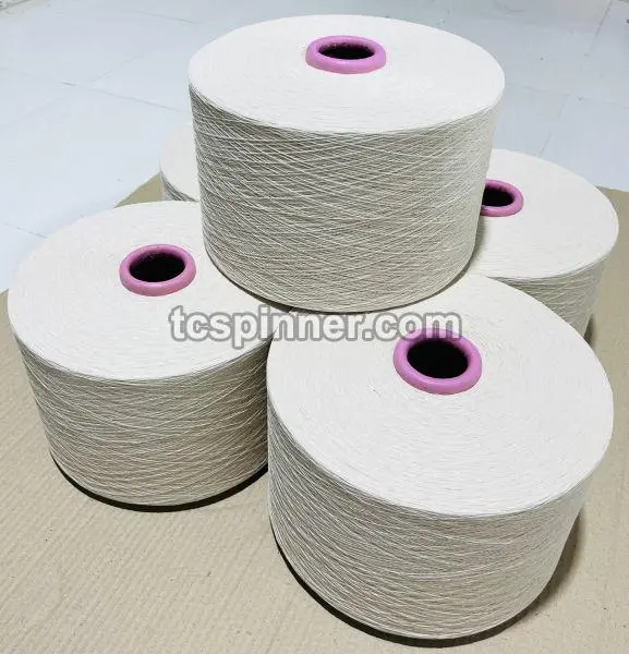 Image 100 % Polyester Yarn