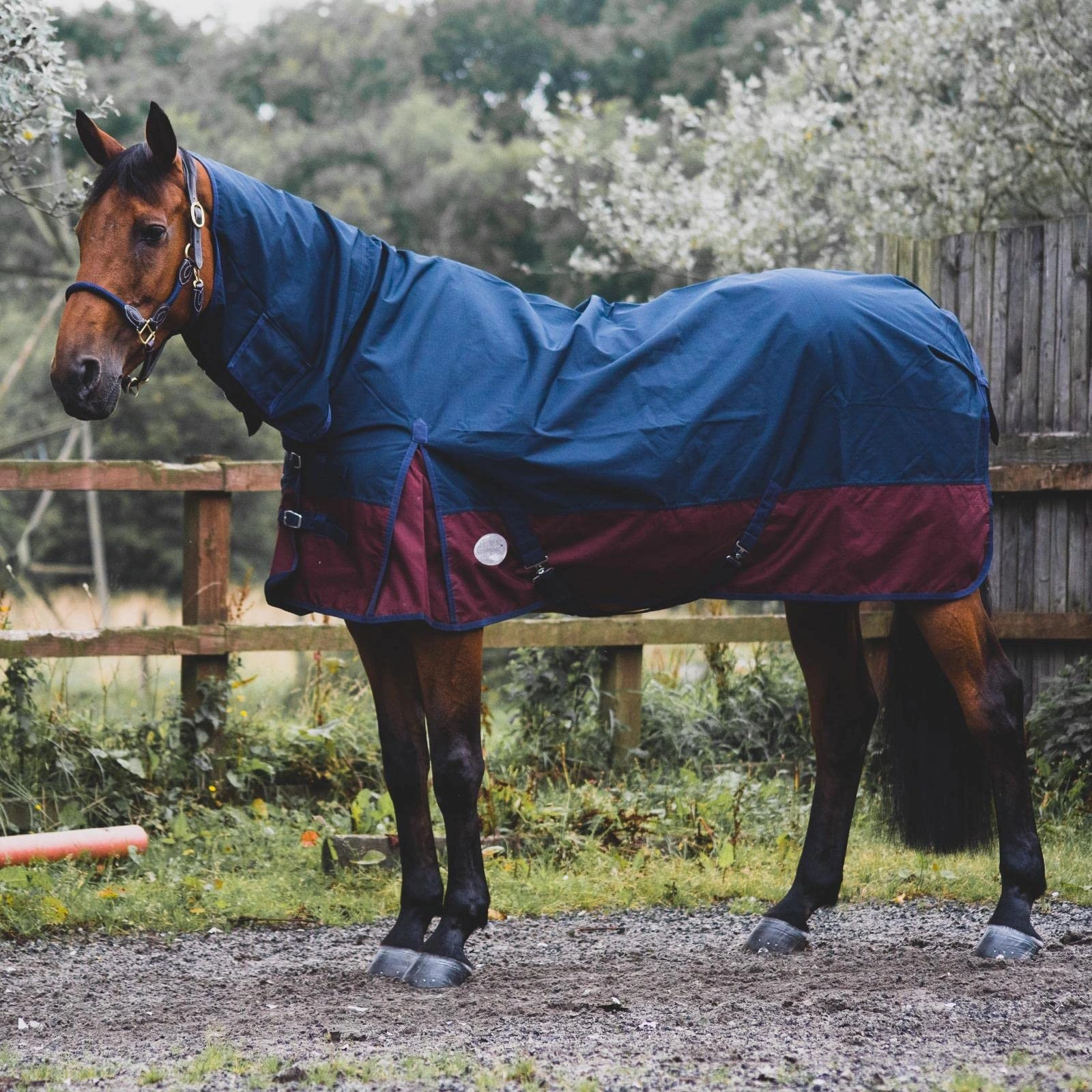 Image Horse Turnout Rugs